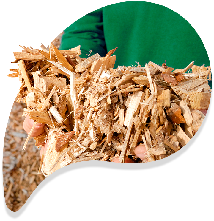 BDEC Bois énergie - biomasse